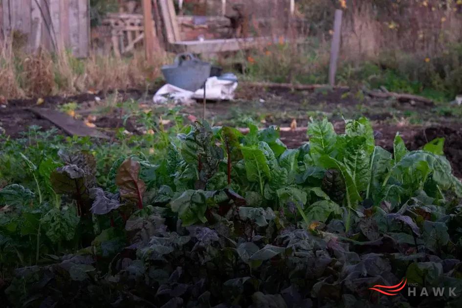 Analyzing and Adjusting Your Gardening Techniques