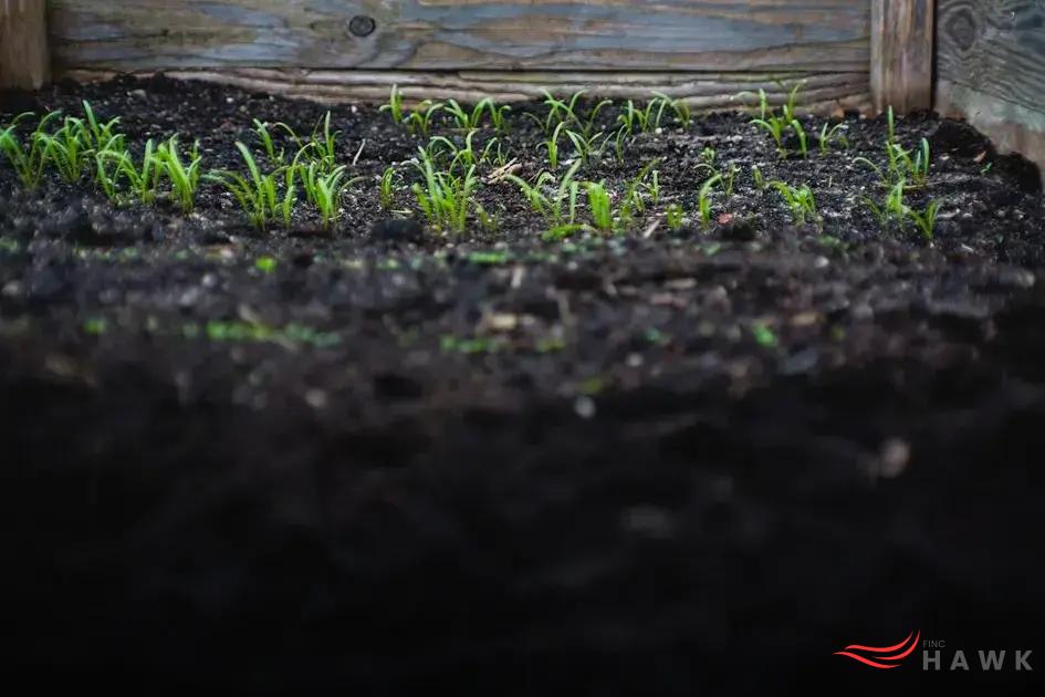 Common Gardening Mistakes: How to Avoid Them Easily