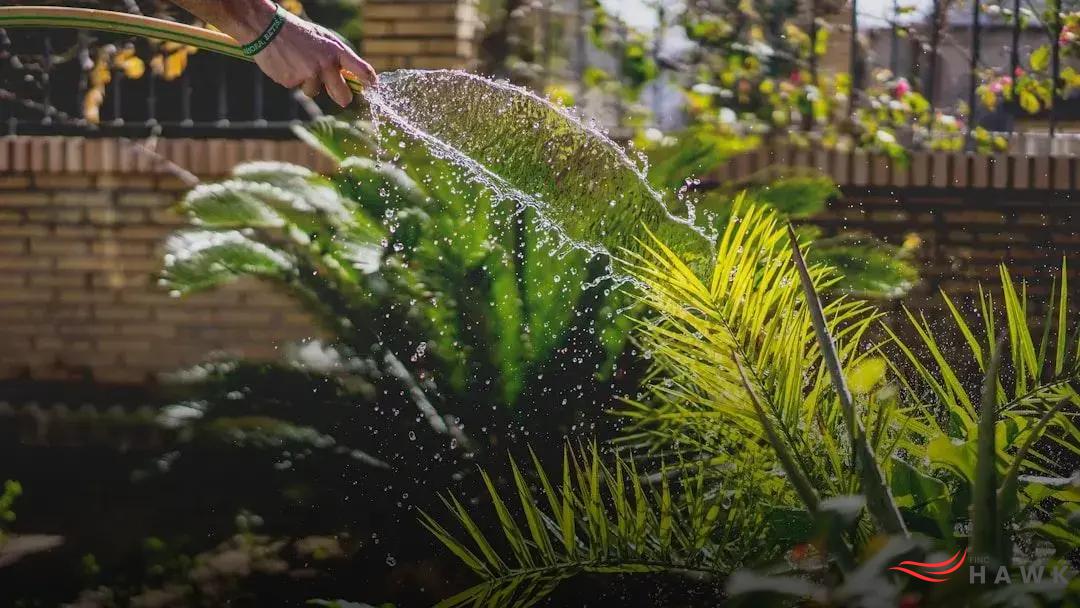 Common Mistakes and How to Avoid Them