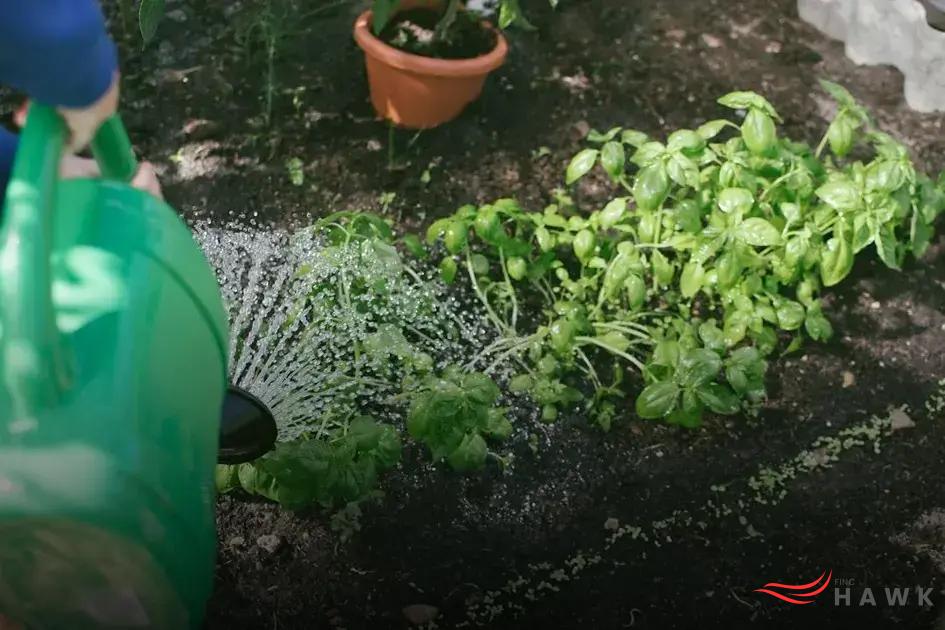 Creating a Wildlife Habitat in Your Backyard: Tips & Tricks