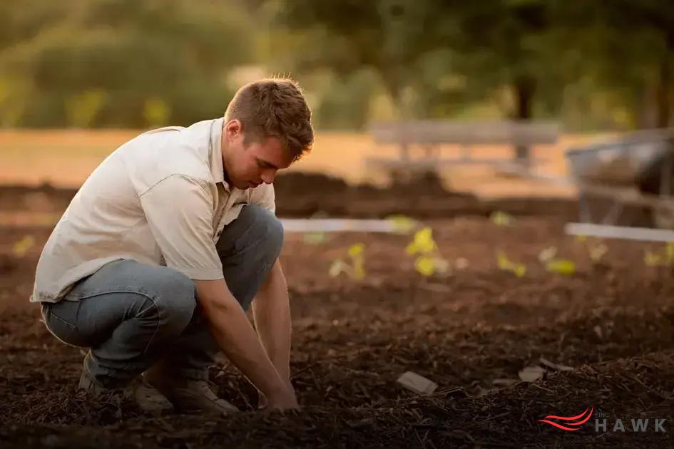 Creating Your Own Stress-Relief Garden