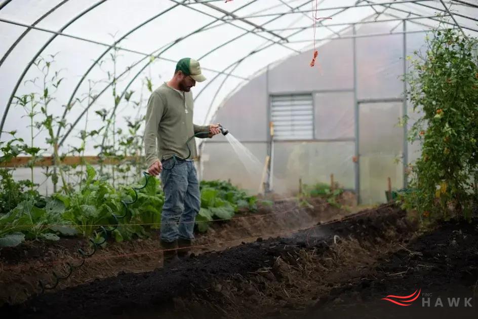 Creative Ways to Use Excess Produce