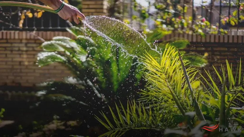 DIY Greenhouses: Gardening Year-Round Has Never Been Easier