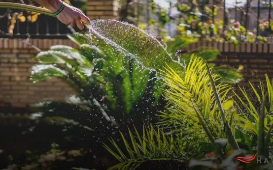 DIY Greenhouses: Gardening Year-Round Has Never Been Easier