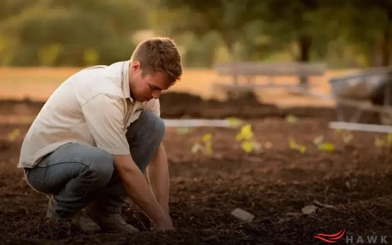 Gardening as Stress Relief: How It Transforms Your Mind