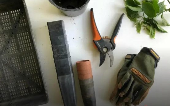 How Gardening Improves Mental Health and Boosts Well-Being