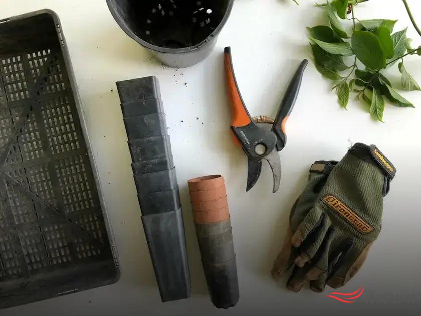 How Gardening Improves Mental Health and Boosts Well-Being