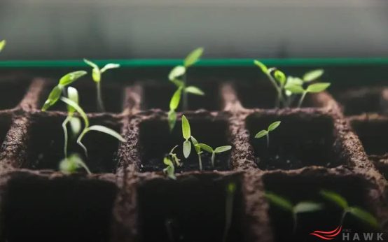 How to Build a Compost Bin at Home: Easy DIY Guide