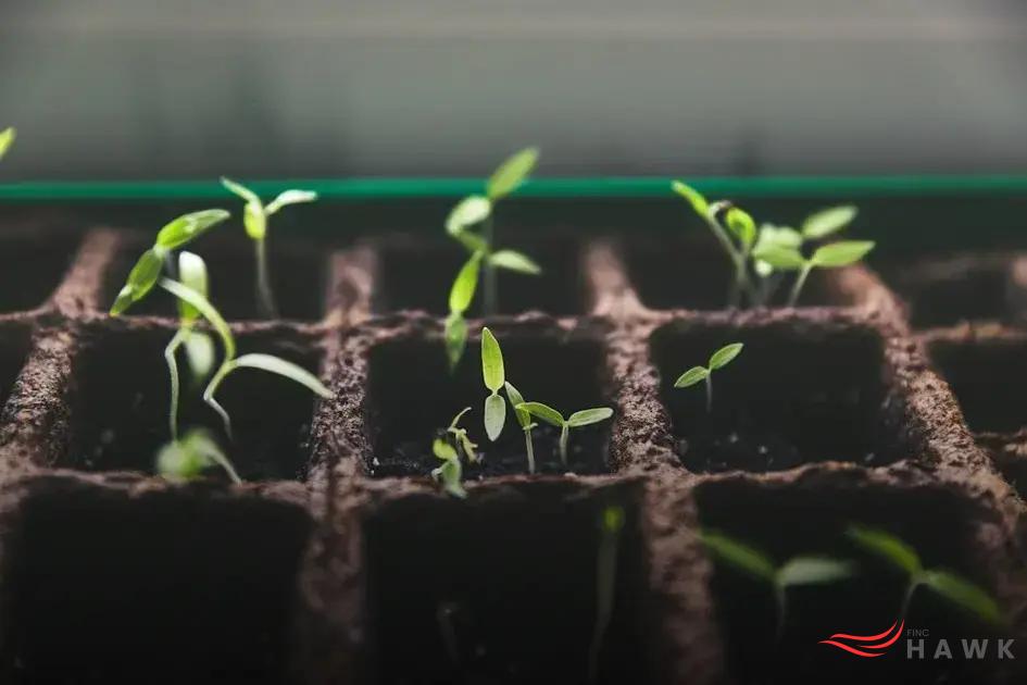 How to Build a Compost Bin at Home: Easy DIY Guide