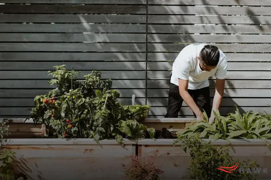 How to Design a Sustainable Backyard for Future Joys