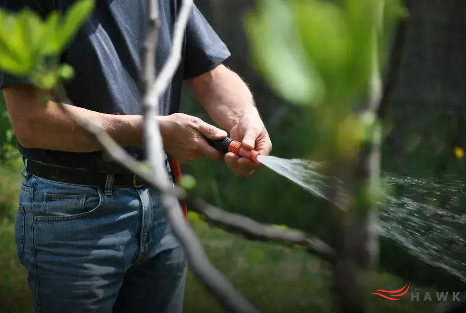 Innovative Watering Solutions with Household Items