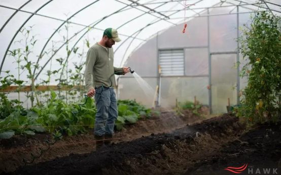 Reducing Food Waste Through Gardening Practices for Success