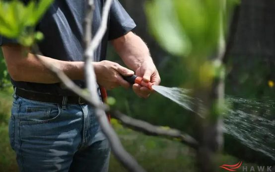 Repurposing Household Items: Transform Your Garden Creatively