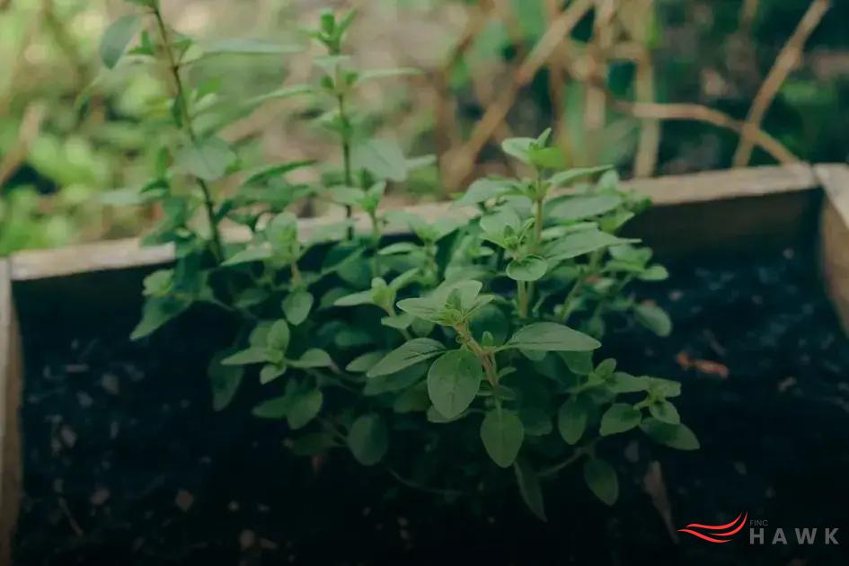 Teaching Kids About Nature Through Gardening: A Fun Journey